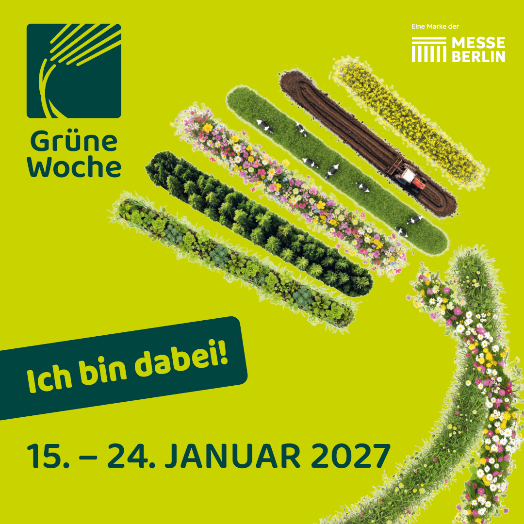 instagram_banner_b2b_1080x1080px_ich