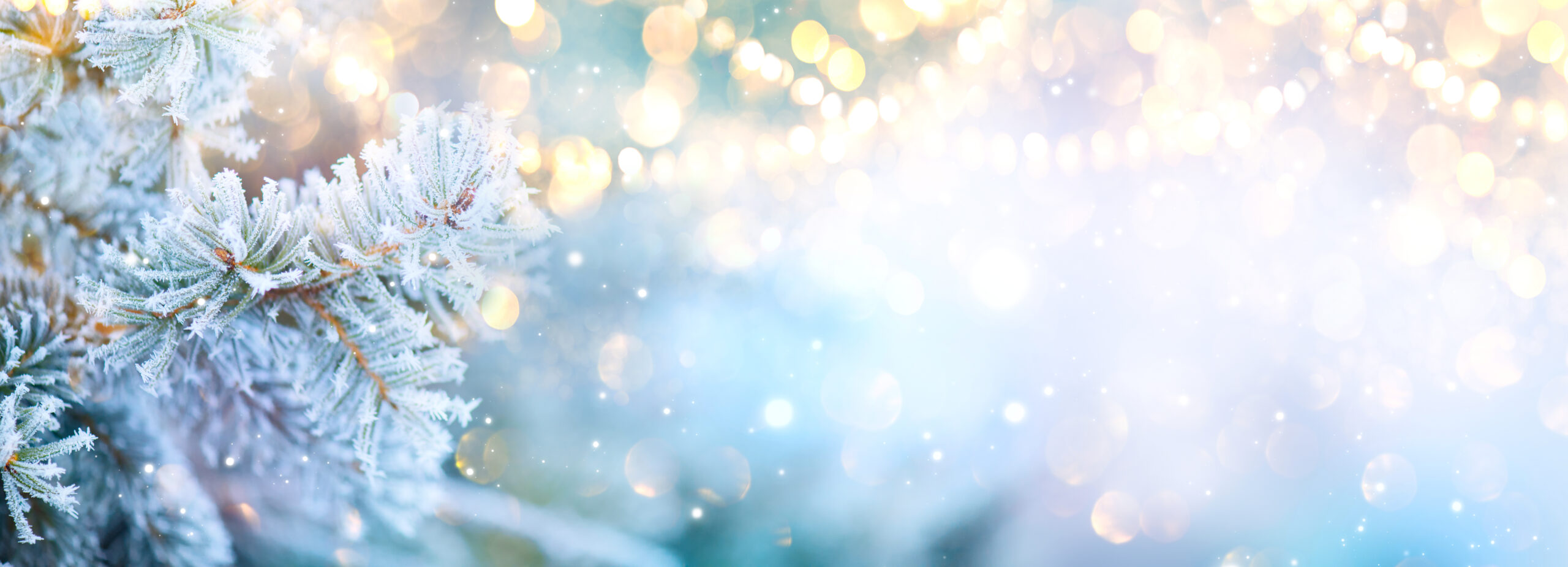 Christmas background. Xmas tree with snow decorated with garland